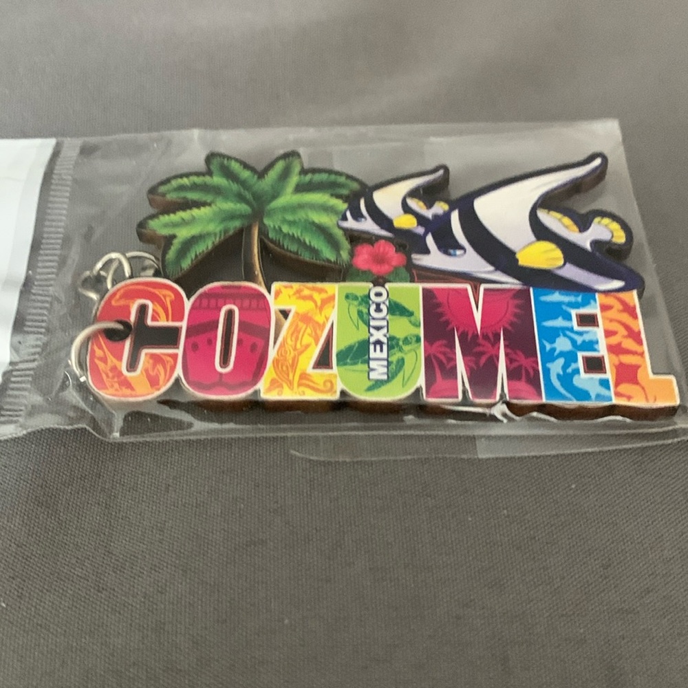 Key chain
